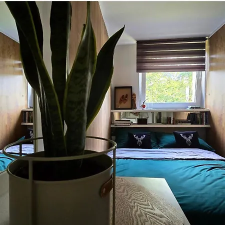 Na Rowni Krupowej Appartement Zakopane